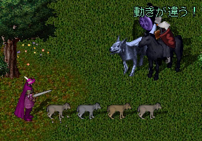 犬テイマー