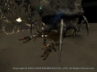 テラコワス