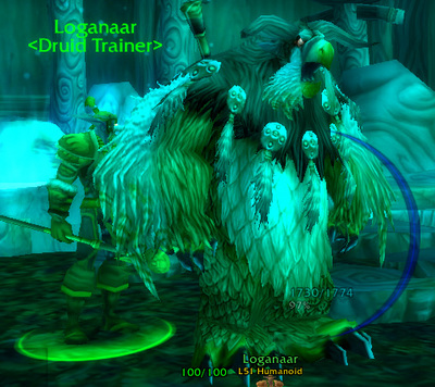 Moonkin!