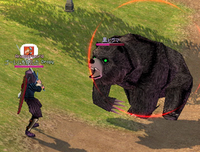 クマー