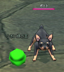 玉よりちいさい